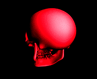 skull